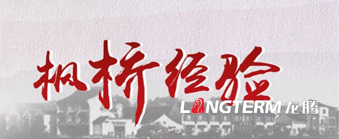 新時代法治文化長廊設(shè)計之習(xí)近平法治思想